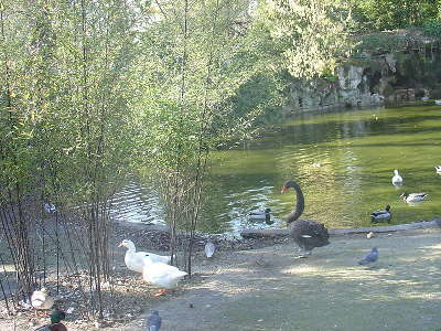 Parc bordelais jardin remarquable routes touristiques en gironde guide du tourisme nouvelle aquitaine