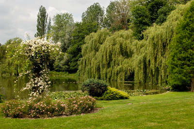 Parc de l etang battrans jardins remarquables routes touristiques de hautes saone guide touristique franche comte