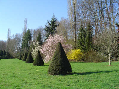 Parc et jardin du moulin d athie jardin remarquable routes touristiques en cote d or guide du tourisme en bourgogne