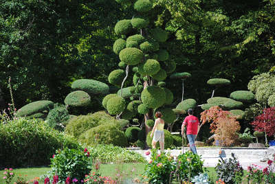 Parc floral de la source jardin remarquable basin les routes touristiques dans le loiret guide du tourisme centre v