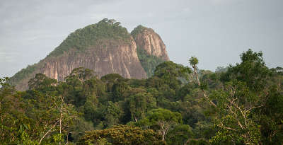 Parc national de guyane pic coudreau