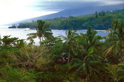 Parc national de la reunion guide du tourisme de la reunion outre mer