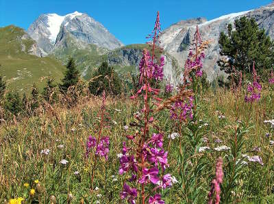 Parc national de la vanoise grande casse vue du mont bochor routes touristiques de savoie guide touristique de rhone alpes