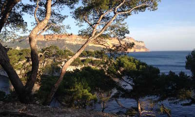 Parc national des calanques calanque de port miou routes touristiques des bouches du rhone guide du tourisme de paca