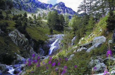 Parc national du mercantour guide touristique de la provence alpes cote d azur