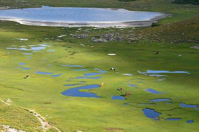 Parc naturel regional corse guide du tourisme de la corse