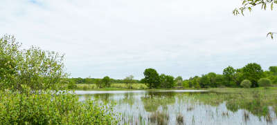 Parc naturel regional de la brenne guide touristique de l indre centre val de loire