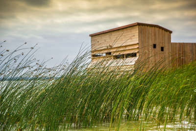 Parc naturel regional de lorraine observatoire d oiseaux guide du tourisme en lorraine