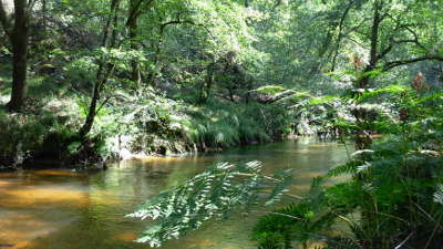 Parc naturel regional des landes de gascogne aysage des vallees de la leyre routes touristiques du teritoire de belfort guide du tourisme de franche comte