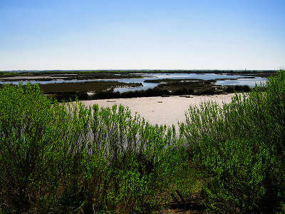 Parc naturel regional des landes de gascogne domaine de certes routes touristiques du teritoire de belfort guide du tourisme de franche comte