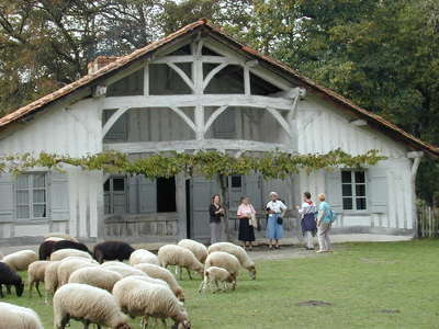 Parc naturel regional des landes de gascogne maison traditionnel routes touristiques du teritoire de belfort guide du tourisme de franche comte