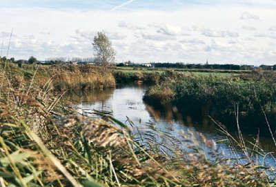 Parc naturel regional des marais du cotentin et du bessin guide du tourisme de la basse normandie