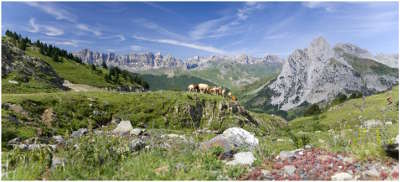 pyrenees catalanes