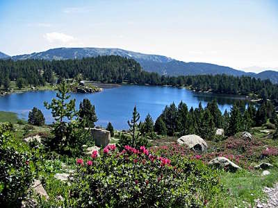 parc des pyrenees catalanes