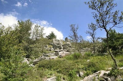 Parc naturel regional des vosges du nord paysage routes touristiques guide du tourisme