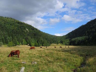 Parc naturel regional du livradois forez vallee glaciaire du fossat routes touristiques de la loire guide touristique de rhone alpes