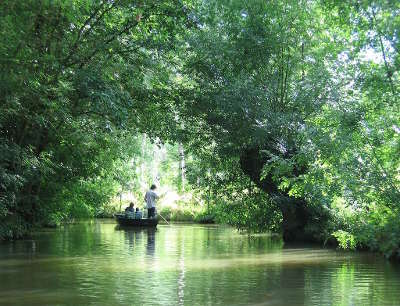 Parc naturel regional du marais poitevin la venise verte guide du tourisme du pays de la loire