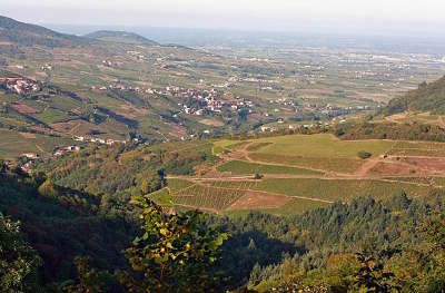 Pays beaujolais routes touristiques du rhone guide du tourisme rhone alpes