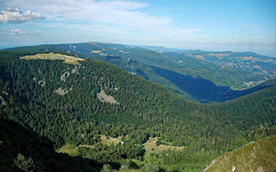 Paysage ballon des vosges guide touristique du haut rhin alsace