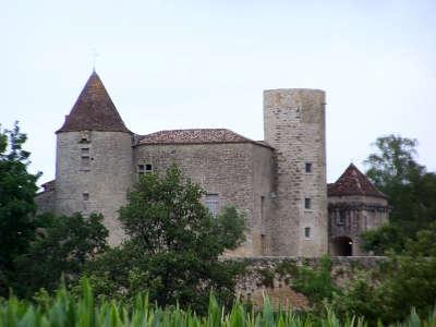 Pellegrue le chateau du puch de gensac route touristique de la gironde guide touristique de l aquitaine