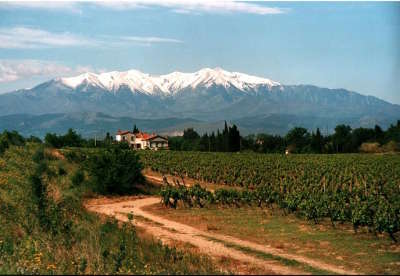 Pic du canigou vue depuis perpignan routes touristiques des pyrenees orientale guide du tourisme occidanie