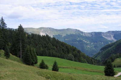 Plateau echallon route des sapins du haut bugey guide du tourisme de l ain