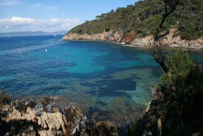 Port cros parc national guide touristique du var paca