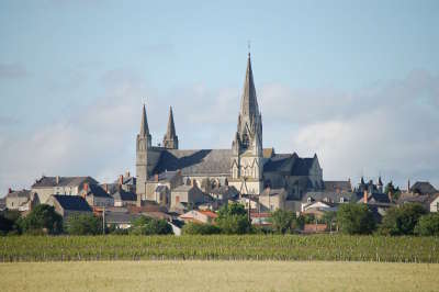 Puy notre dame route des vins d anjou vignobles et troglodytes du saumurois guide du tourisme de maine et loire