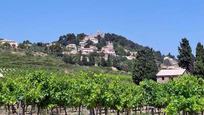 Rasteau vignoble route des vins d orange a vaison la romaine