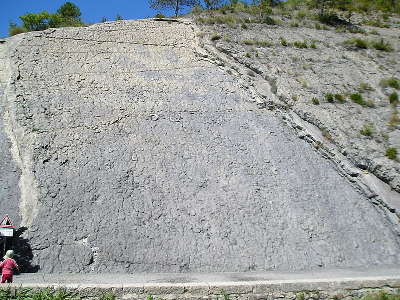 Reserve geologique de haute provence la dalle a ammonites routes touristiques guide du tourisme de provence alpes cote d azur