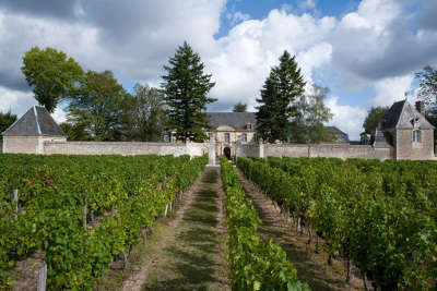 Restigne route des vins de tourraine rive droite entre saumur et chenonceaux