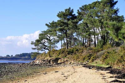 Ria d etel petite plage sur la ria d etel a locoal routes touristiques dans le morbihan guide du tourisme en bretagne