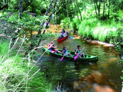 Riviere sabres le domaine de peyricat sabres lande