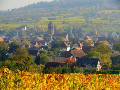 Rosheim route des vins d alsace guide du tourisme de l alsace