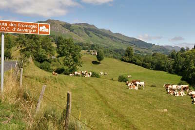 Route des fromages d auvergne