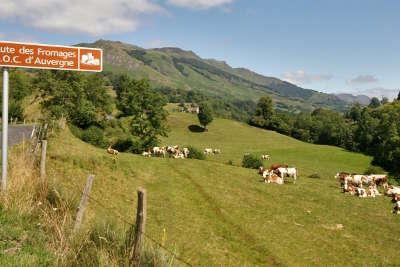 Auvergne