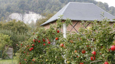 Route des fruits guide du tourisme de normandie