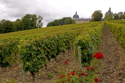 Route des vignobles de valencay guide du tourisme de l indre centre val de loire