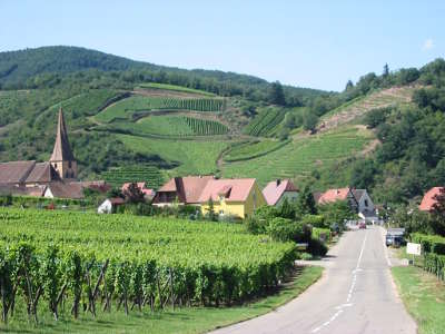 Route des vins d alsace a niedermorschwihr guide touristique de l alsace