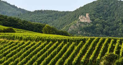 Route des vins d alsace guide du tourisme de l alsace