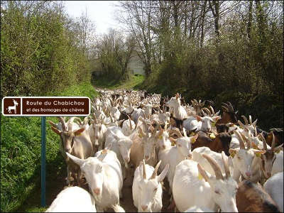 Route du chabichou poitou charente