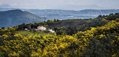 Route du mimosa esterelle guide du tourisme provence alpes cote d azur