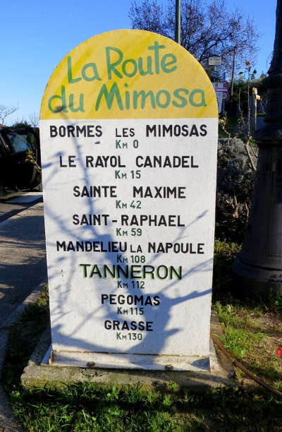 Route du mimosa guide du tourisme provence alpes cote d azur