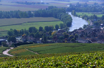 Route touristique du champagne la vallee de la marne guide du tourisme de la marne