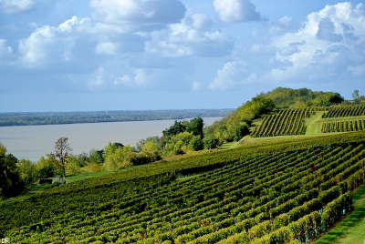 Rte des coteaux a bourg route des vins de bordeaux guide de tourisme de la gironde aquitaine