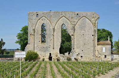 Saint emilion vestiges de l ancienne eglise du couvent des dominicains routes touristiques en gironde guide du tourisme nouvelle aquitaine