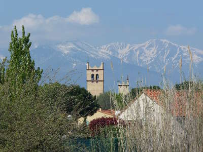 Saint genis des fontaines route des vins en albere guide du tourisme des pyrenees orientales