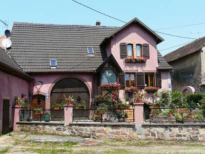 Saint pierre bois ancienne maison de viticulteur situee sur la rue principale renovee et decoree route des eaux de vie guide du tourisme du bas rhin alsace