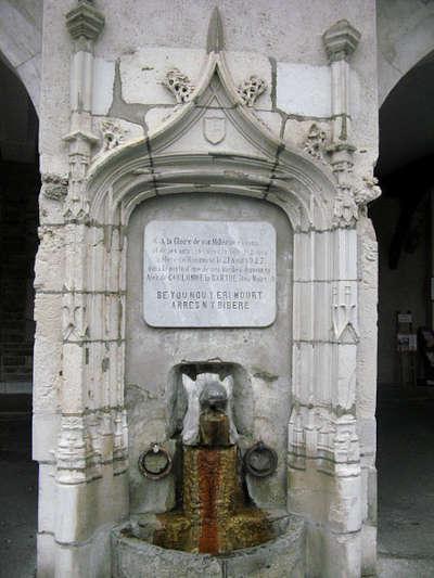 Salies de bearn fontaine du sanglier route touristique des pyrenees atlantiques guide touristique de l aquitaine