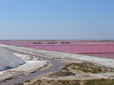 Salin de giraud dune de sel routes touristiques des bouches du rhone guide du tourisme de paca